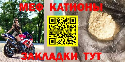 прущие грибы Краснодар