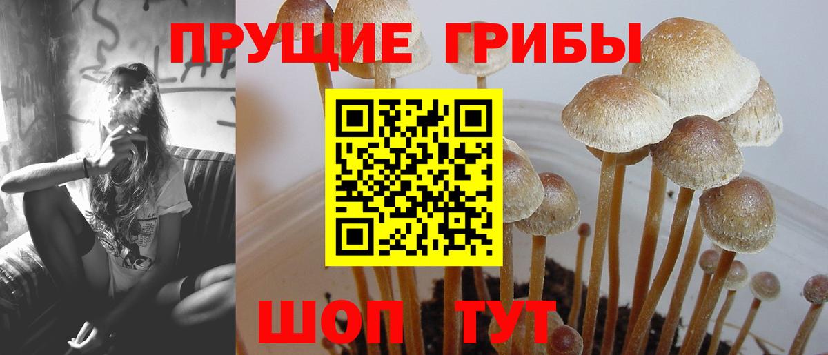 Псилоцибиновые грибы прущие грибы  Вход с VPN  Карталы  Галлюциногенные грибы ЛСД 